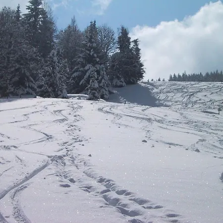 ホテル シュロッカーホーフ シュラートミンク