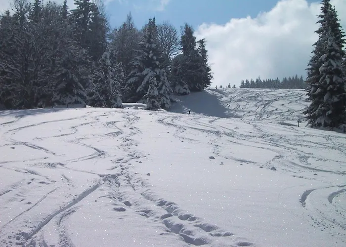 Отель Schroeckerhof Шладминг